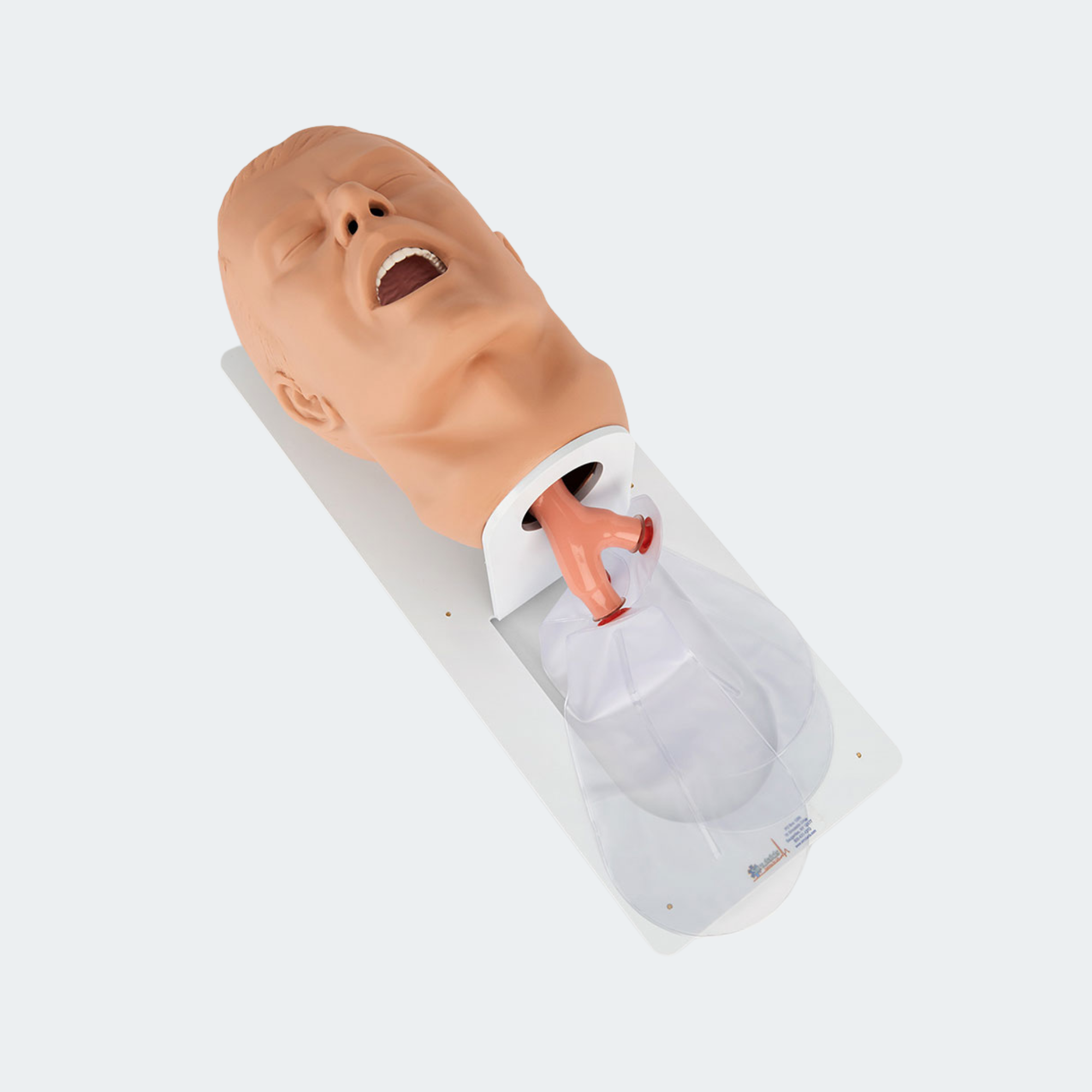 Simulaids Economy Adult Airway Management Trainer