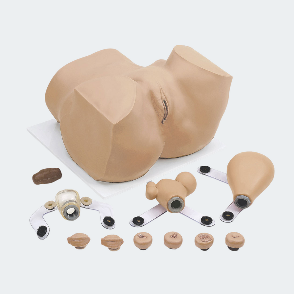 Simulaids Gynecological EVA Manikin
