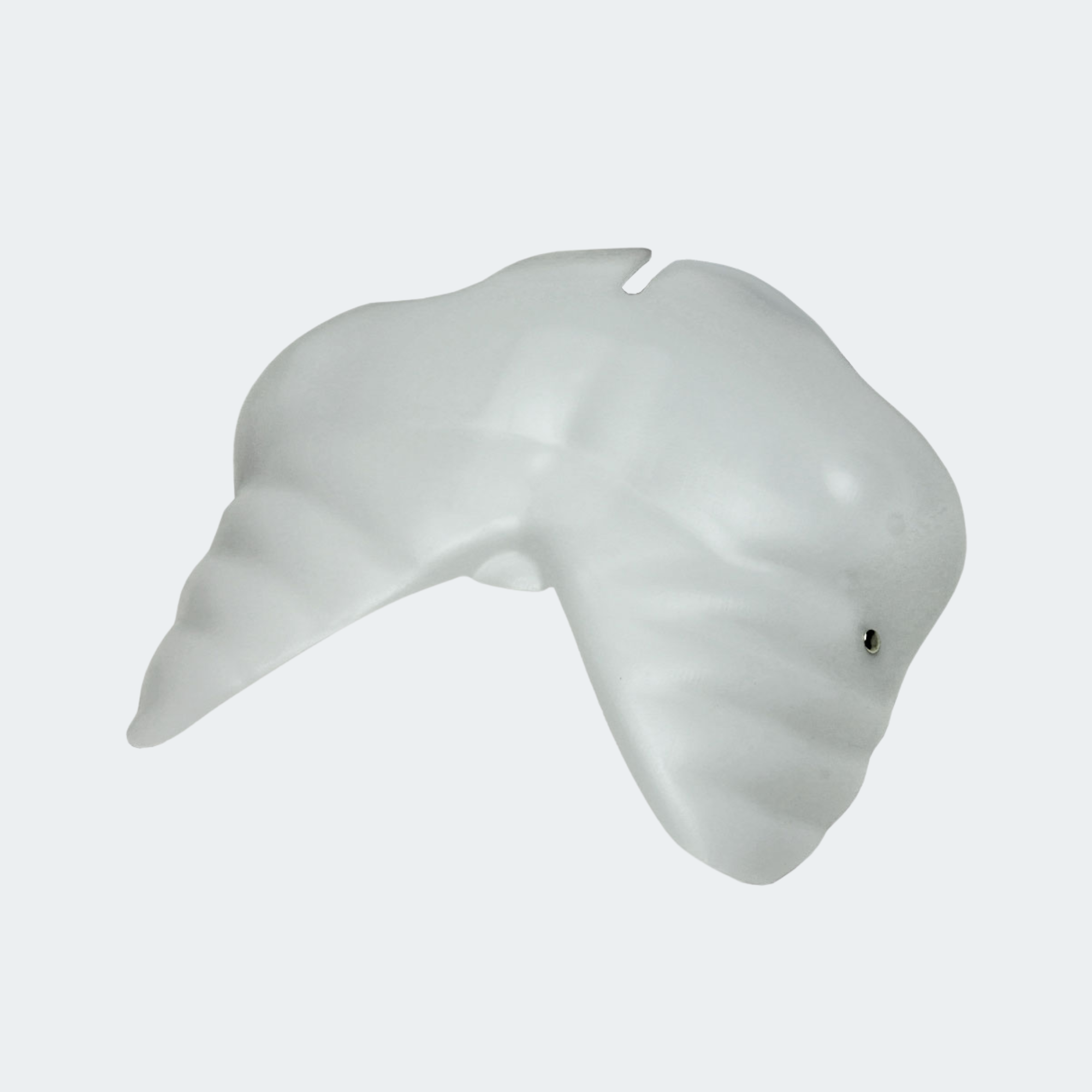 Simulaids JT & CPR Brad Manikin Chest Plate