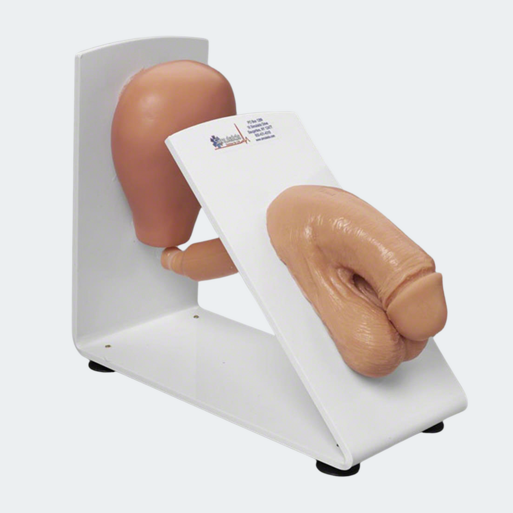 Simulaids Male or Female Catheterization Trainer