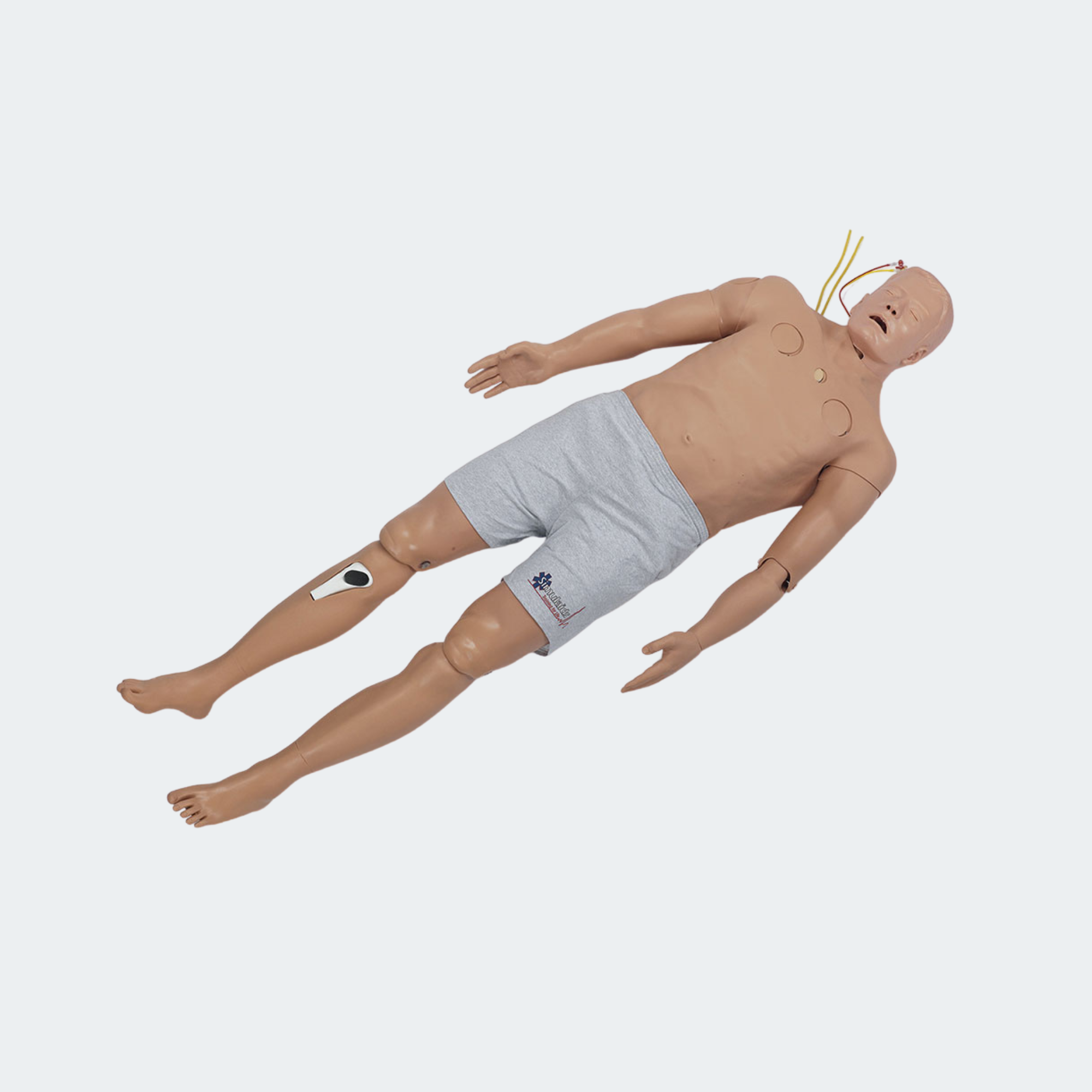 Simulaids PHTLS Torso Trainer - Full Body