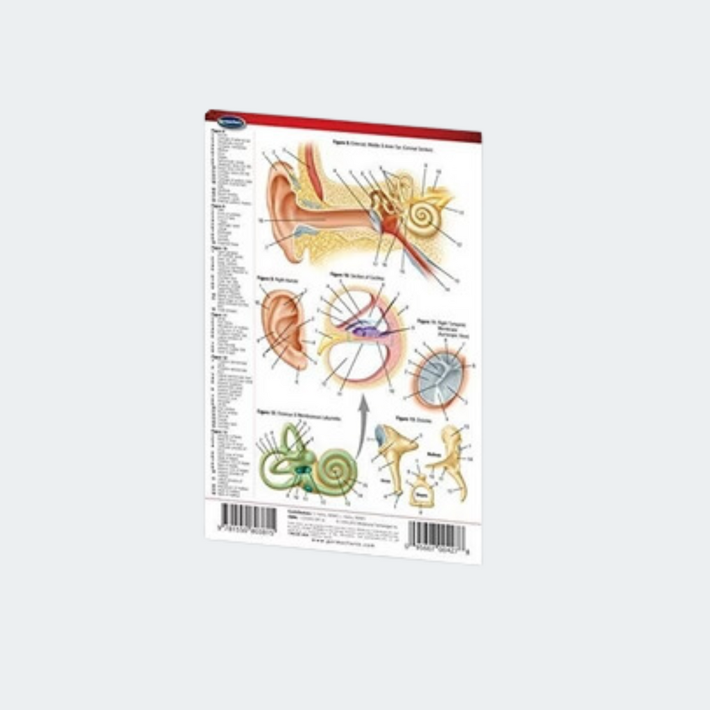 Student Value Pack, Includes: Pocket Eye Chart, Practice Eye, Ear Speculum, Reference Guide Book (US Only)