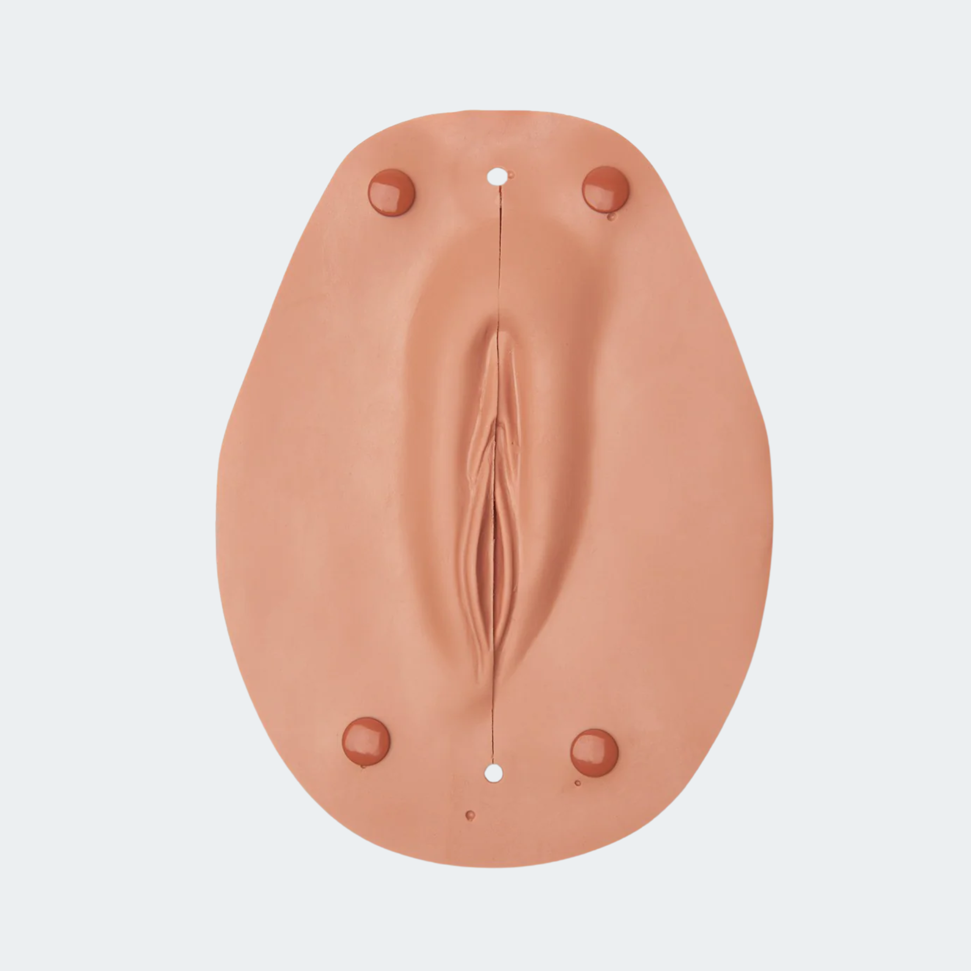 VULVA FLESHTONE /OB MANIKIN