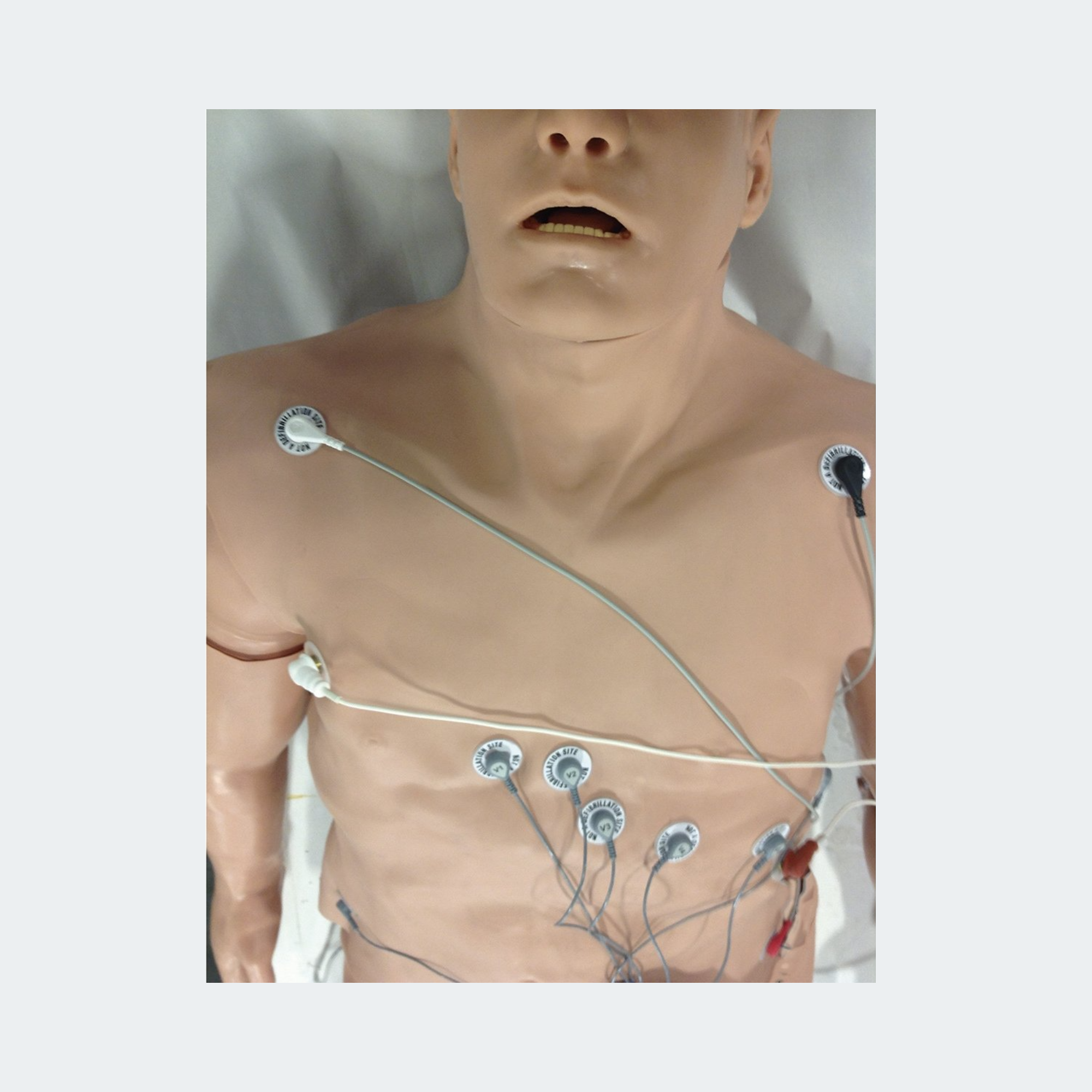 Zoll 12-Lead Arrhythmia Simulator with Manikin Overlay, Large [SKU: 101-12-000L]