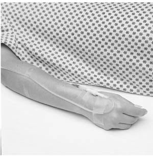 Medical Tape 3M&trade; Transpore&trade; White Water Resistant Plastic 2 Inch X 10 Yard3M Health CareWhite Dressing TapeAOSS Medical Supply